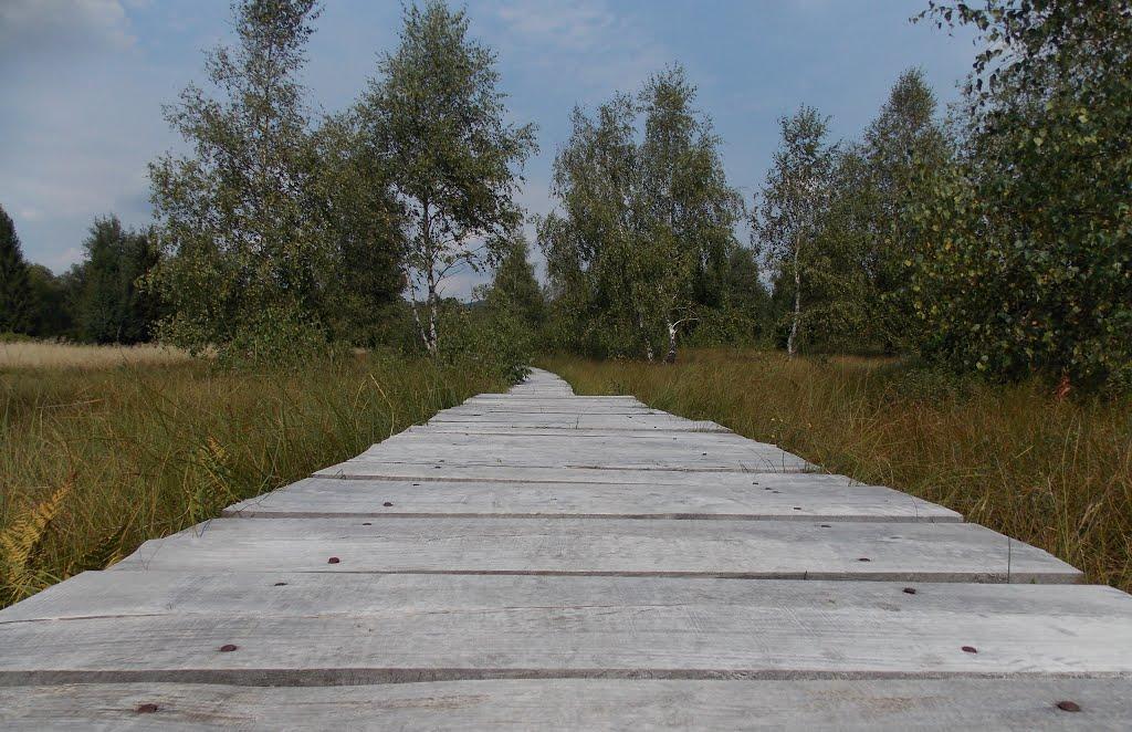 Шандровець з panoramio.com - Шандровець