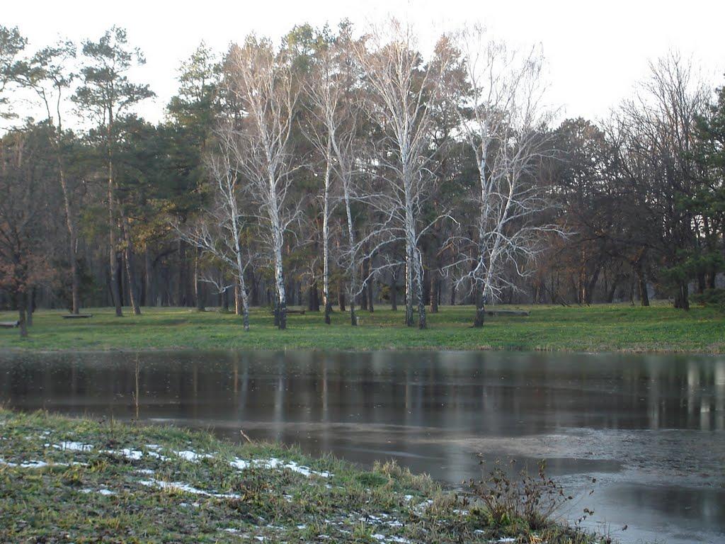 Зелений Гай з panoramio.com - Зелений Гай