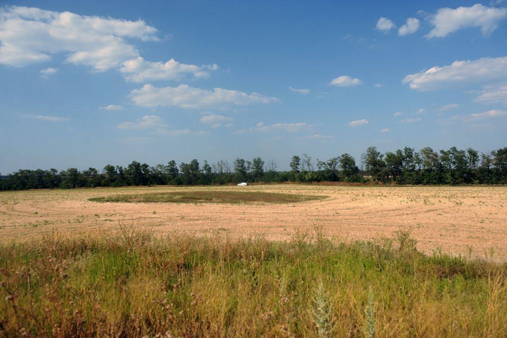 Новосолдатське з panoramio.com - Новосолдатское