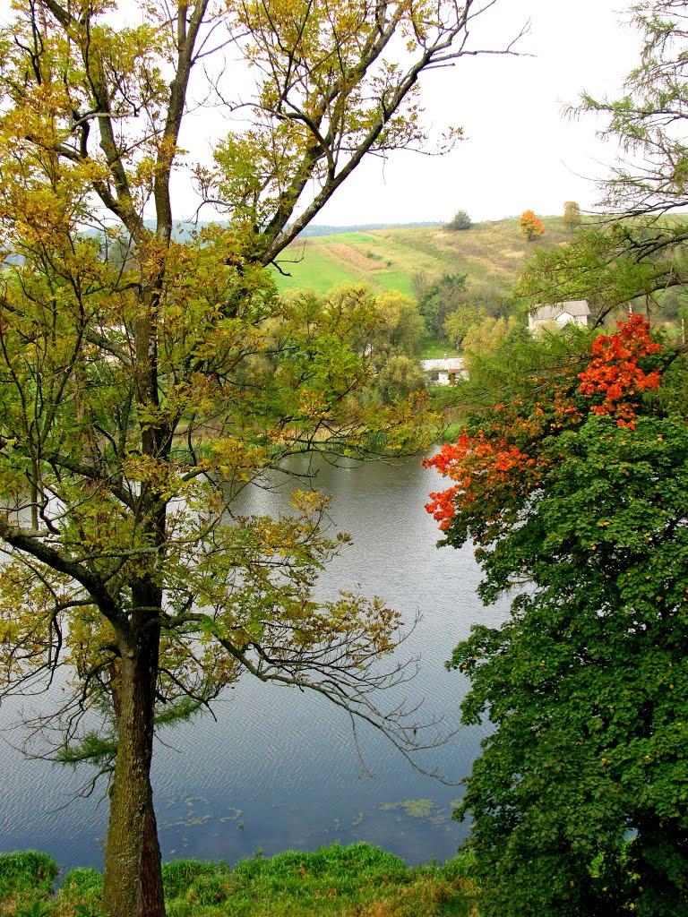 Свірж з panoramio.com - Свірж