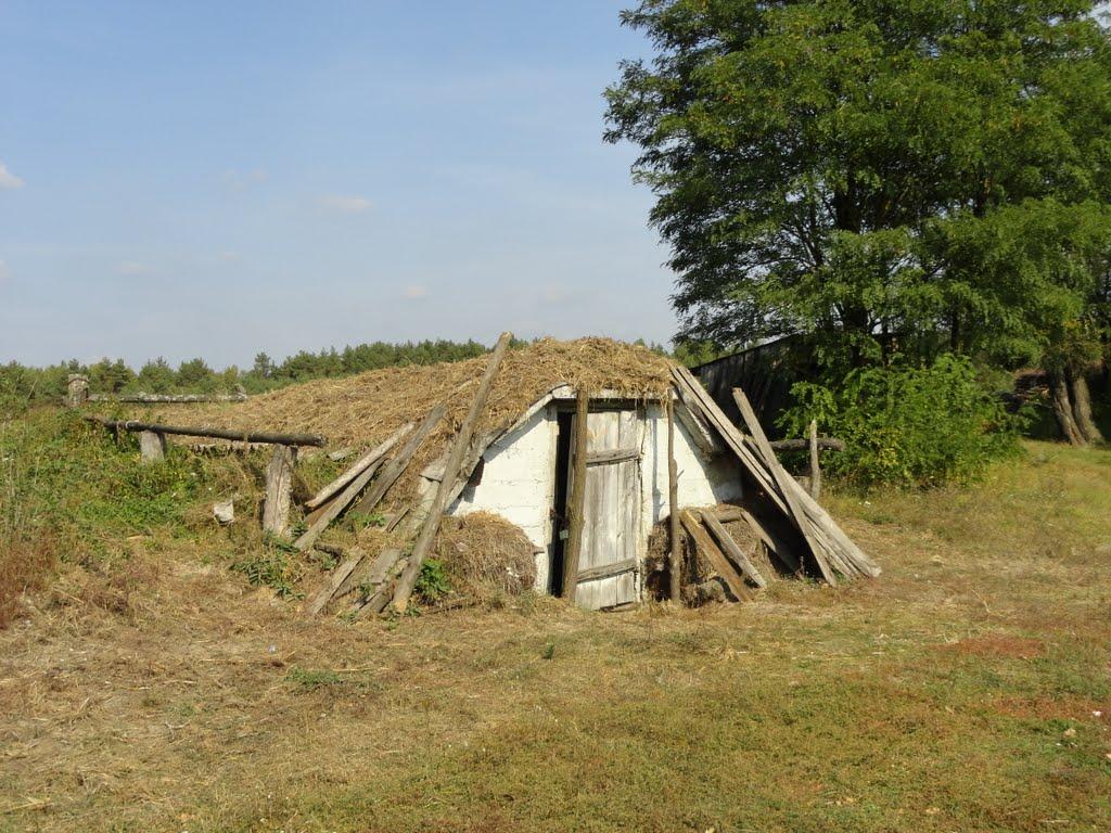 Северинівка з panoramio.com - Севериновка