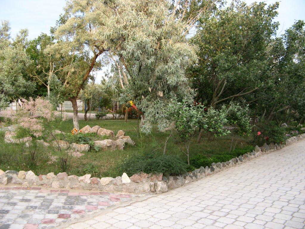 Вітине з panoramio.com - Вітине