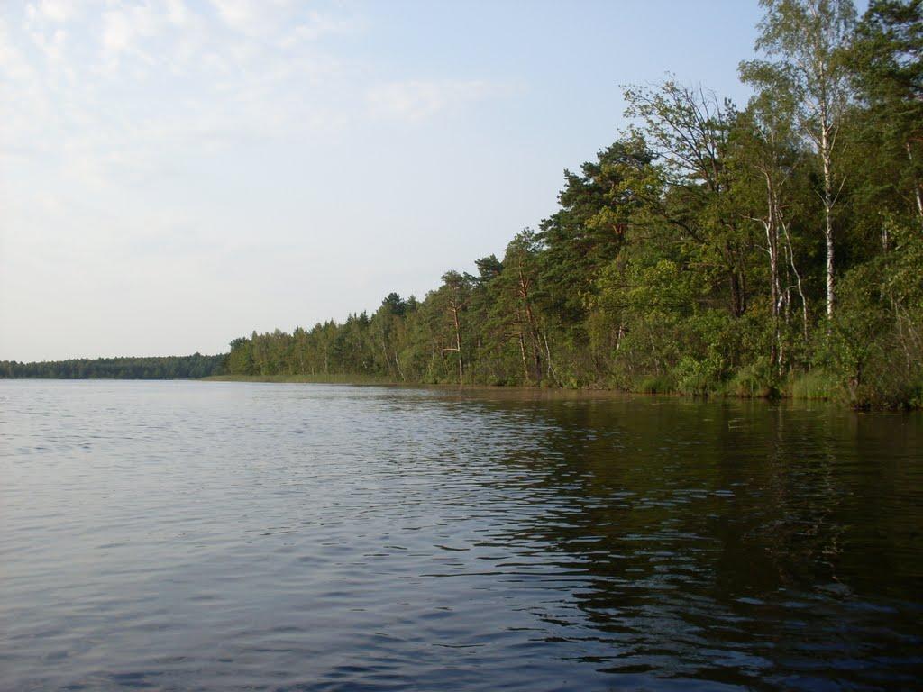 Вербівка з panoramio.com - Вербівка