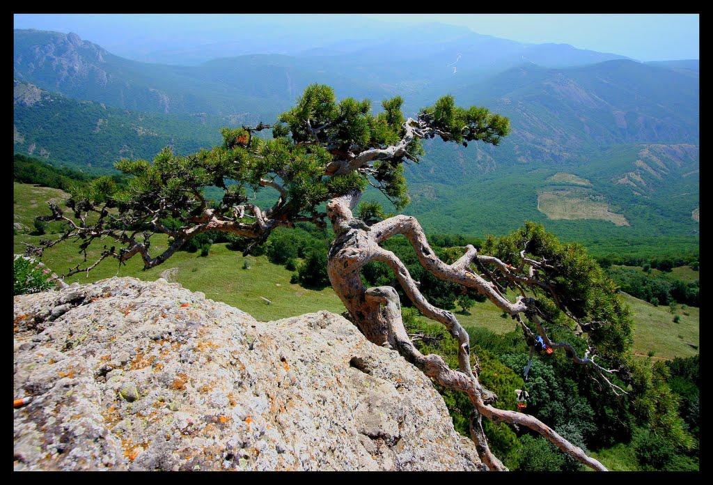 Лучисте з panoramio.com (ч.2) - Luchyste