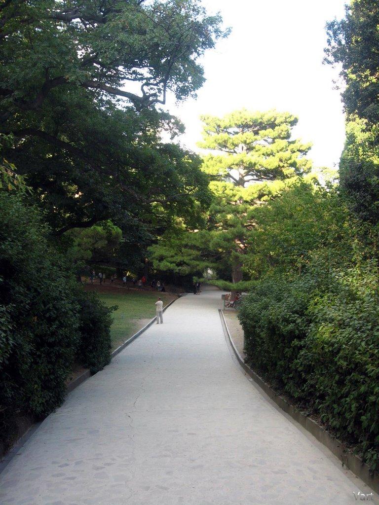 Алупка з panoramio.com (ч.3) - Алупка