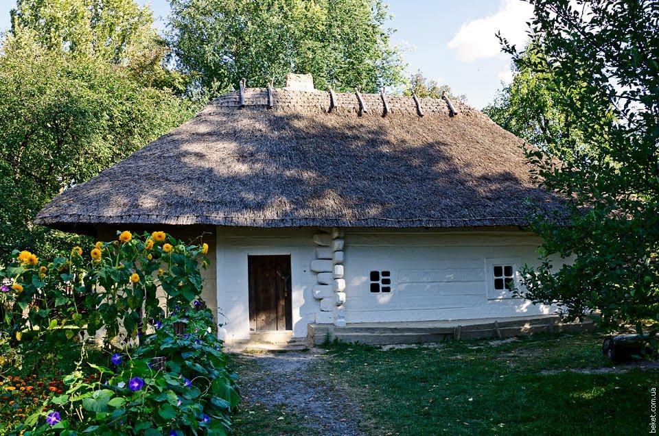 Шевченкове з panoramio.com - Шевченкове