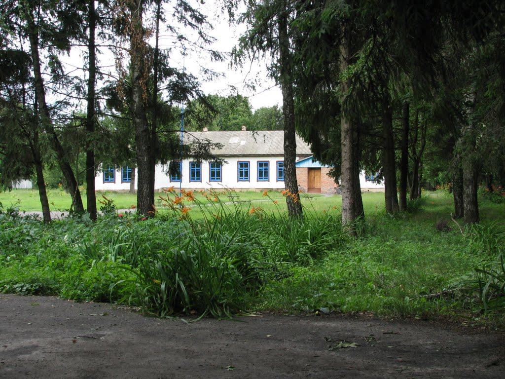 Куковичі з panoramio.com - Куковичі