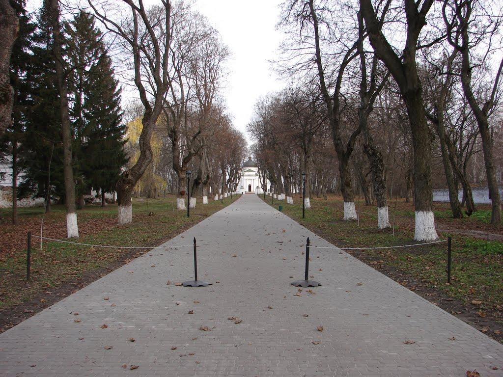 Петрушівка з panoramio.com - Петрушовка