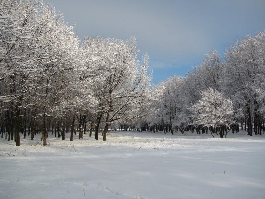 Костянтинівка з panoramio.com (ч.2) - Костянтиновка