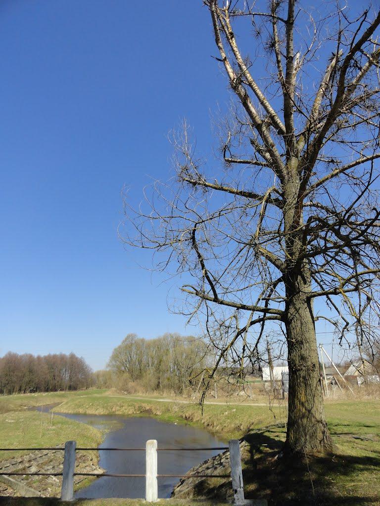 Сковородинівка з panoramio.com - Сковородинівка