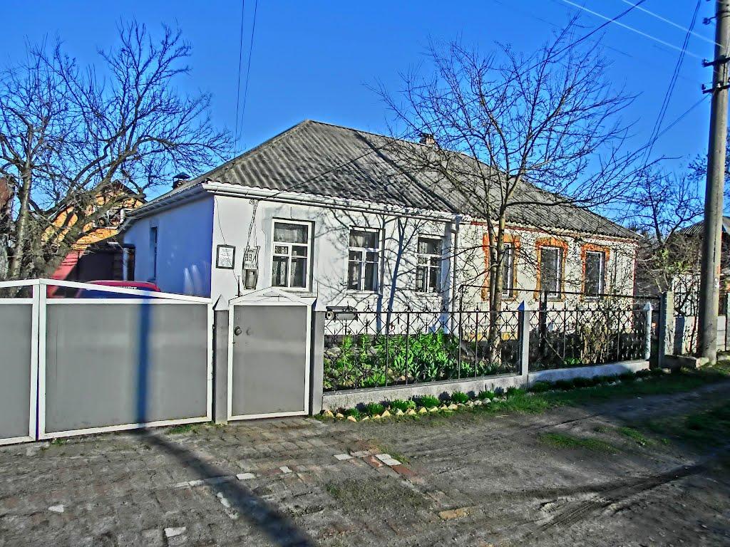 Олександрія з panoramio.com (ч.3) - Olexandria