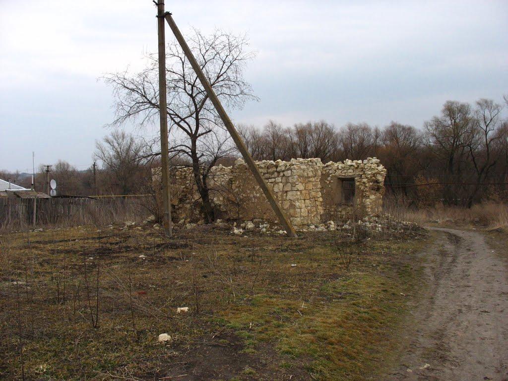 Жовте з panoramio.com - Жовте