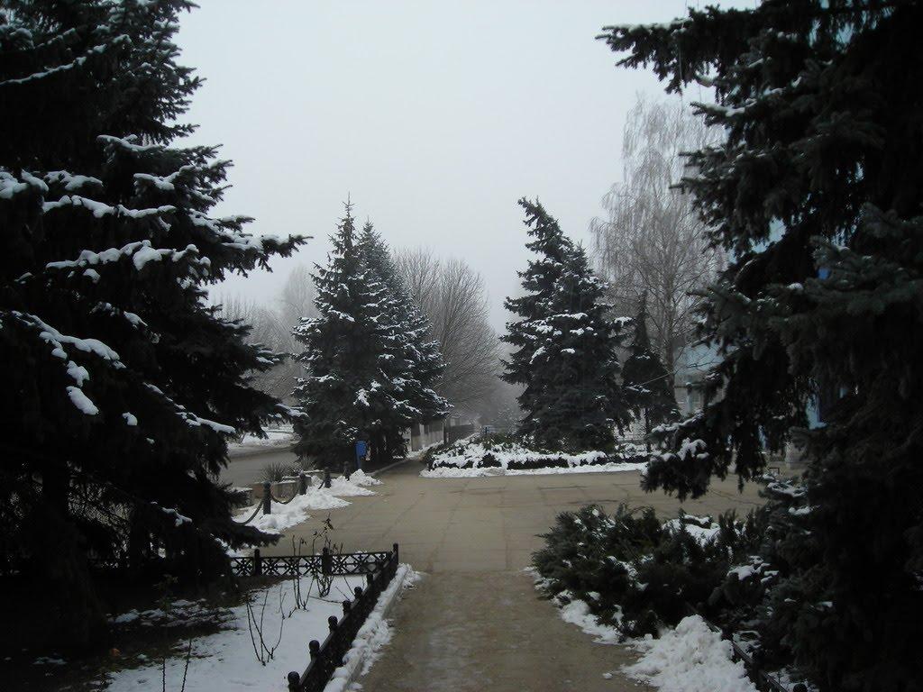 Слов'яносербка з panoramio.com - Слов'яносербка
