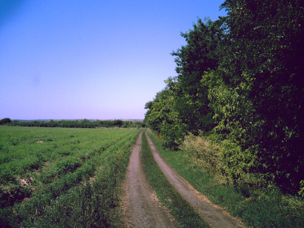 Шахтарськ з panoramio.com - Шахтарськ