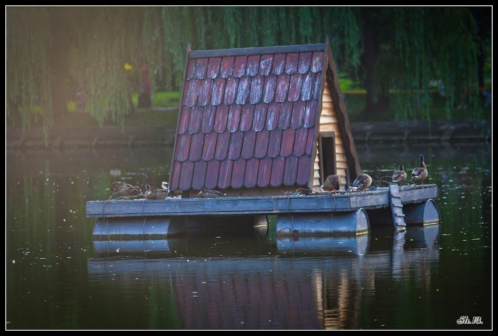 Рівне з panoramio.com (ч.5) - Ровно