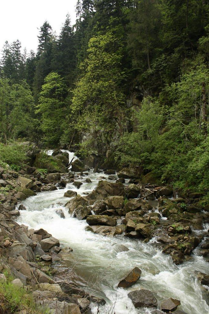 Кам'янка з panoramio.com - Кам'янка