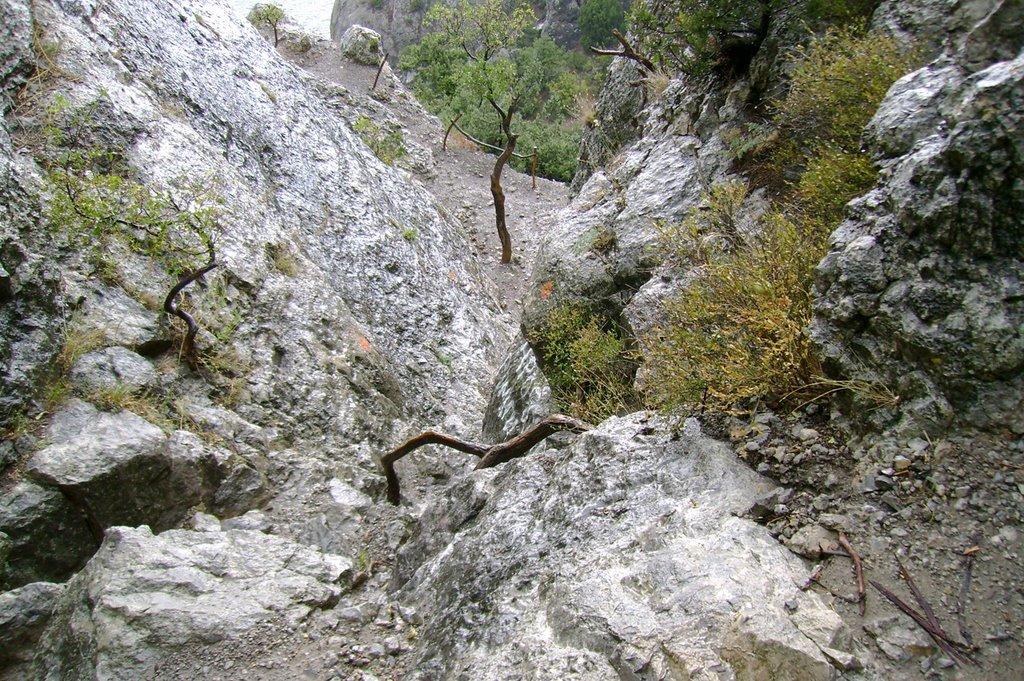 Новий Світ з panoramio.com (ч.4) - Новий Світ