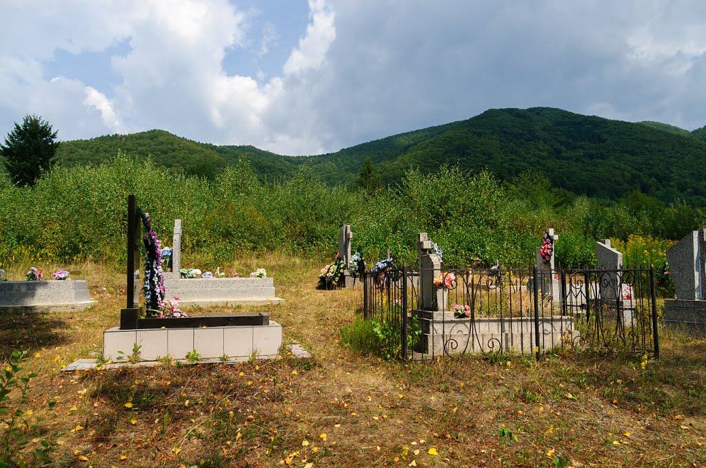 Вишка з panoramio.com - Вишка