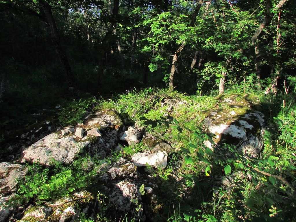 Богатир з panoramio.com - Богатырь