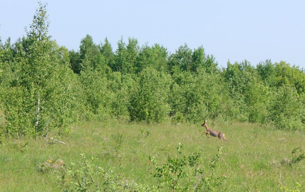Теребежі з panoramio.com - Теребежі
