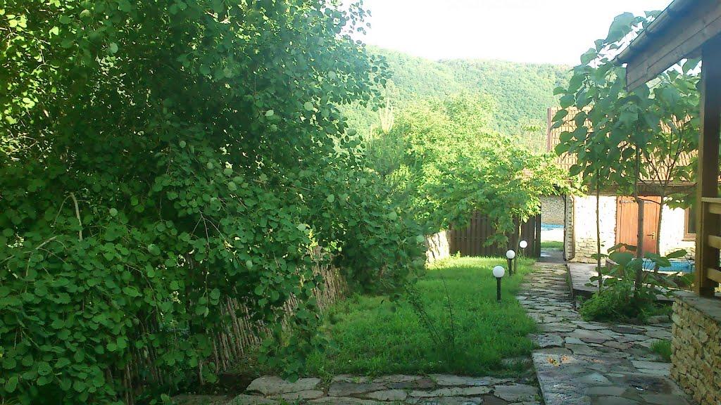 Хмелева з panoramio.com - Хмелевая