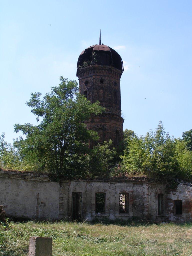 Олександрія з panoramio.com (ч.3) - Olexandria