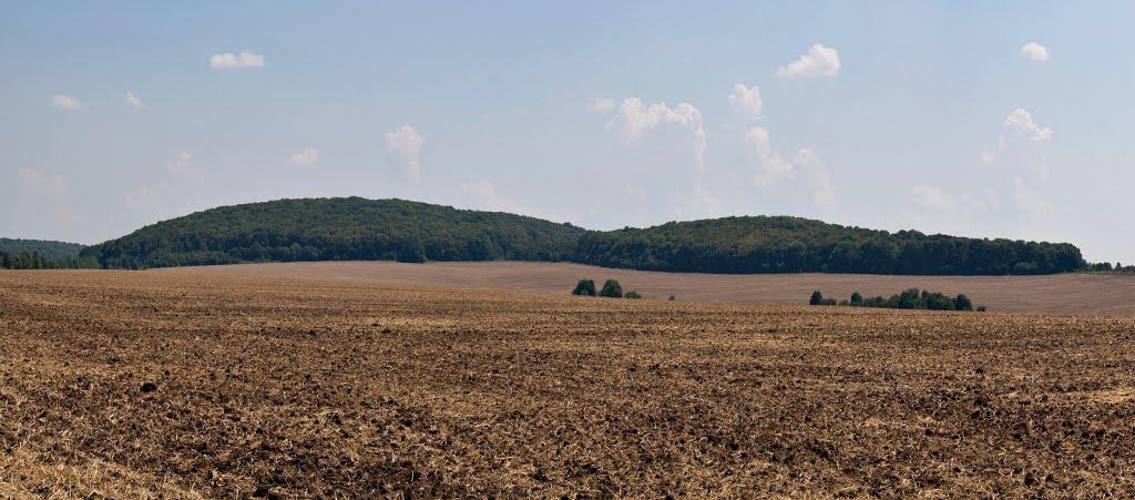 Романівка з panoramio.com - Романівка