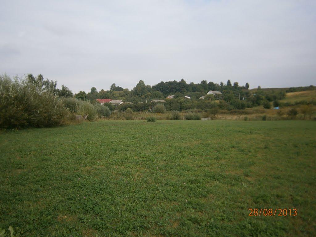 Берездівці з panoramio.com - Берездівці