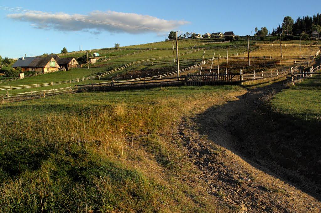 Береги з panoramio.com - Береги