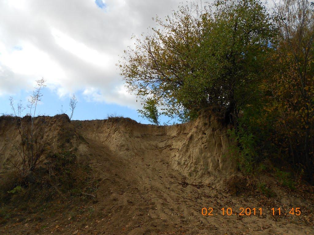 Нечаївка з panoramio.com - Нечаевка