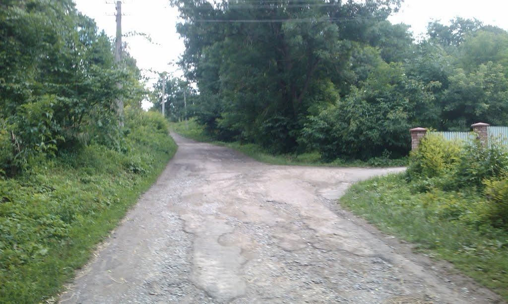 Темногайці з panoramio.com - Темногайцы