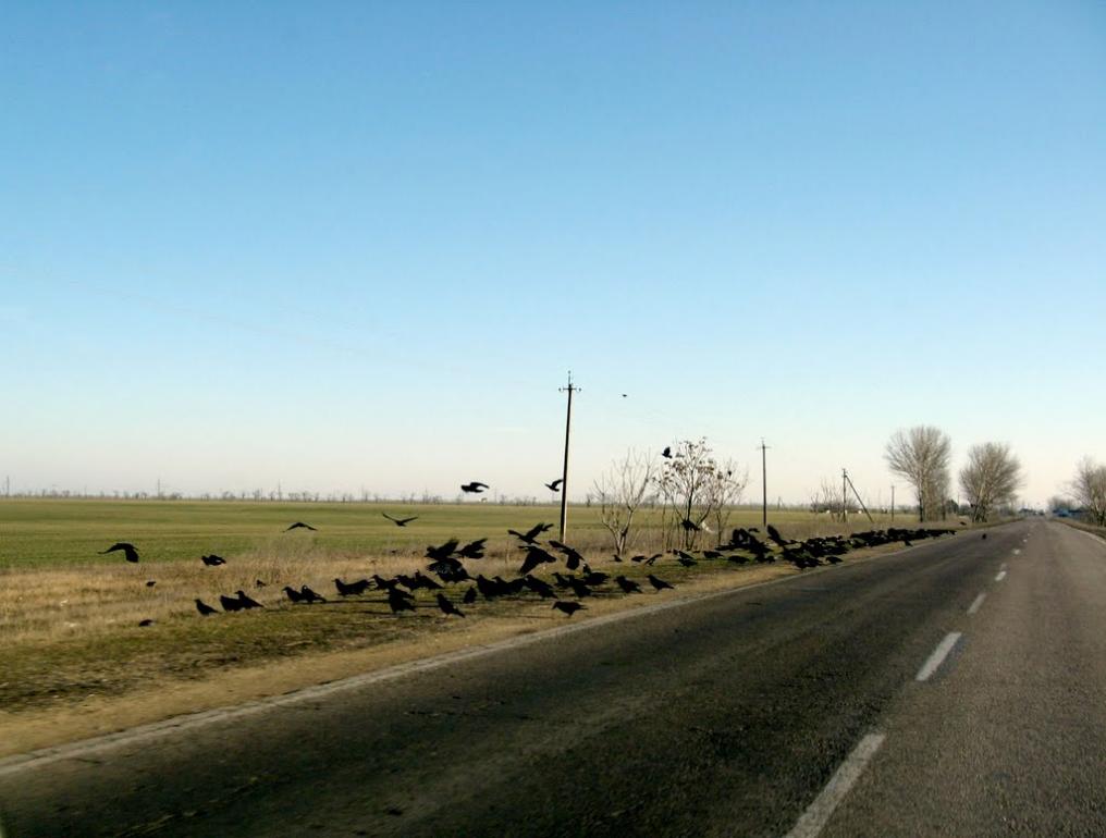 Преображенка з panoramio.com - Преображенка