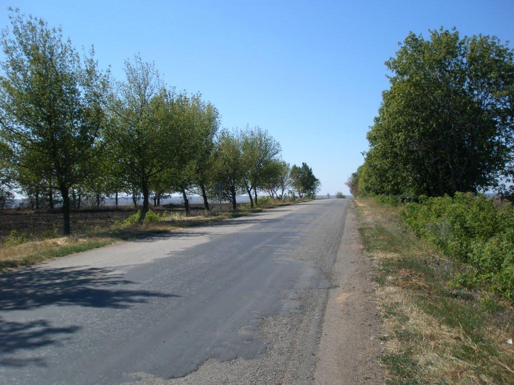 Підгородна з panoramio.com - Подгородная