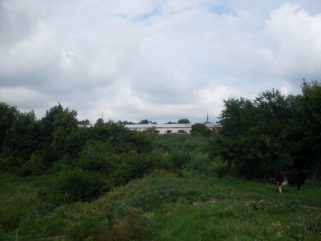 Лихоліти з panoramio.com - Лихоліти