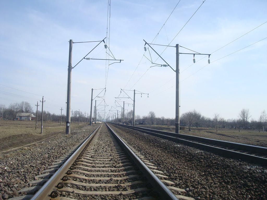 Радівці з panoramio.com - Радовцы