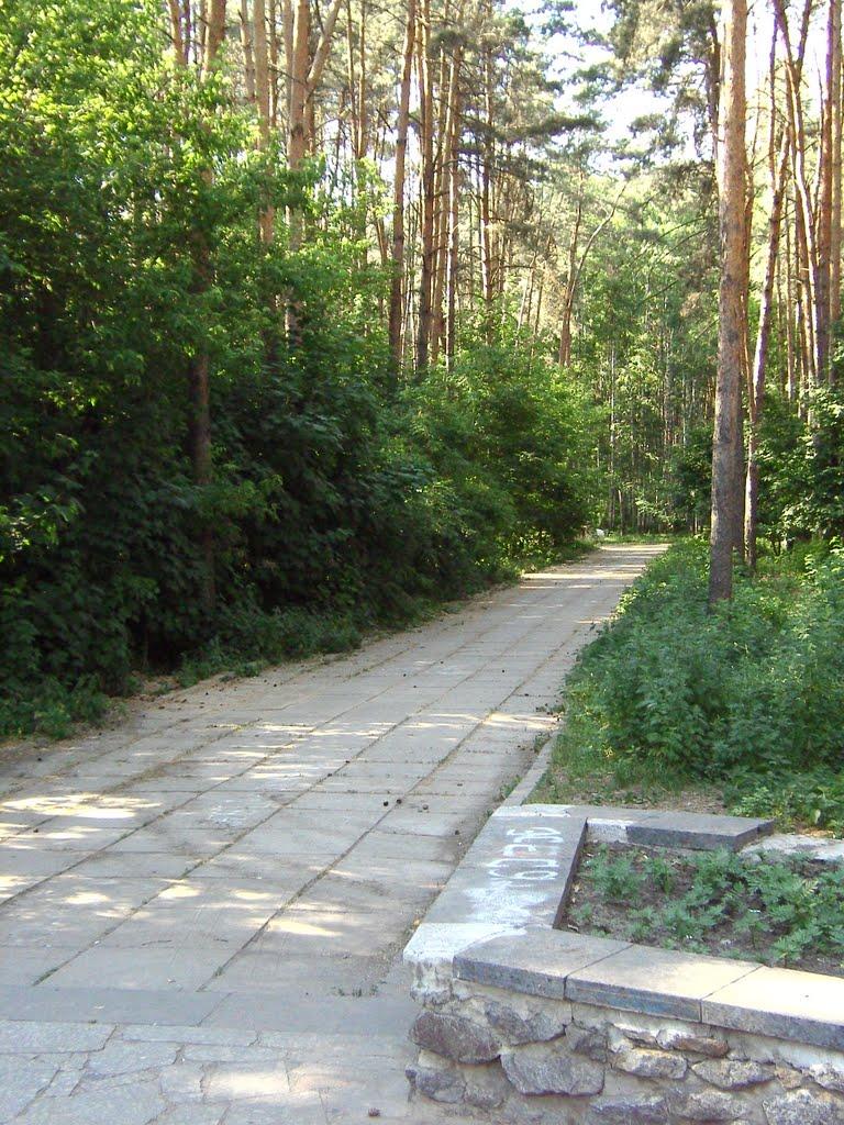 Софіївська Борщагівка з panoramio.com (ч.2) - Софиевская Борщаговка