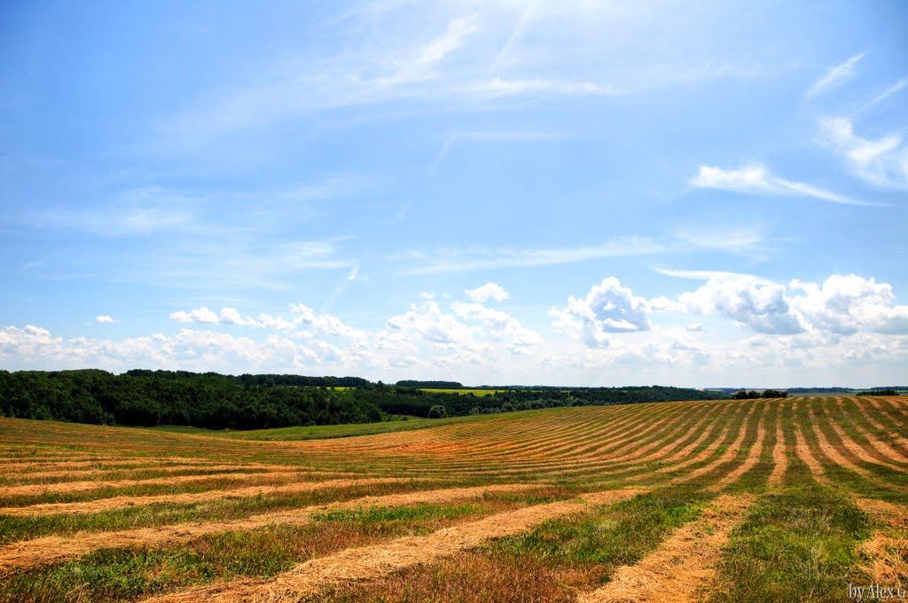 Витачів з panoramio.com - Vytachiv