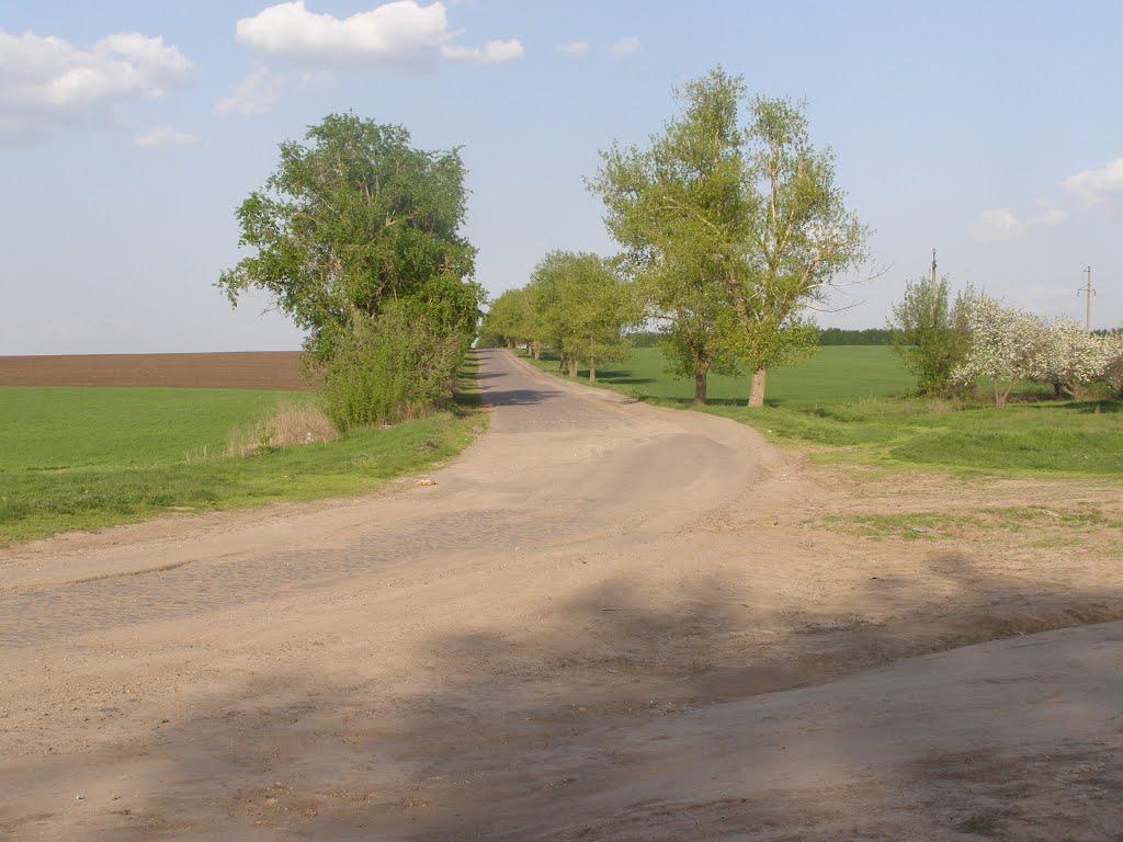 Росоша з panoramio.com - Росоша