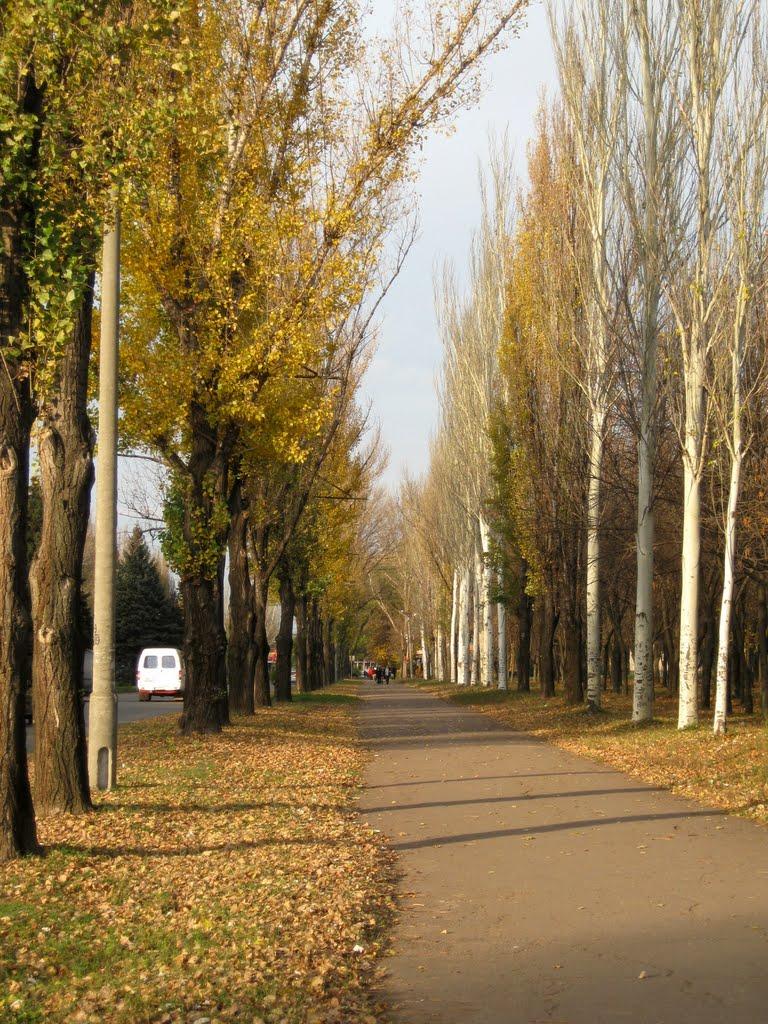 Кривий Ріг з panoramio.com (ч.9) - Кривой Рог