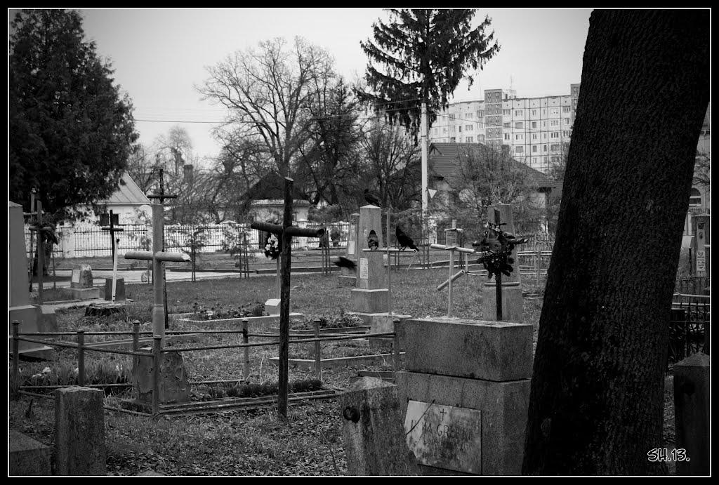 Рівне з panoramio.com (ч.5) - Ровно