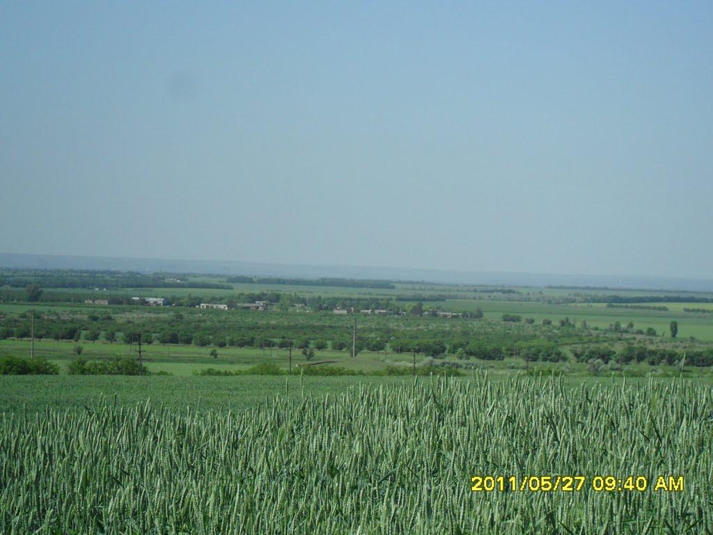 Степанівка з panoramio.com - Степанівка