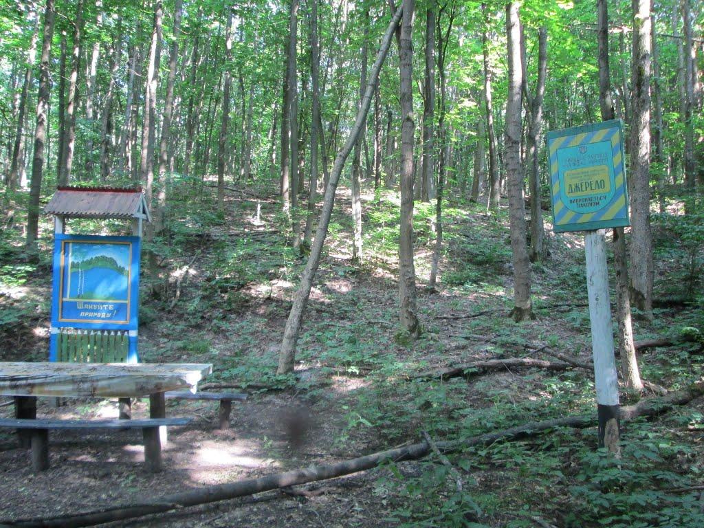 Ясенове з panoramio.com - Ясеновое