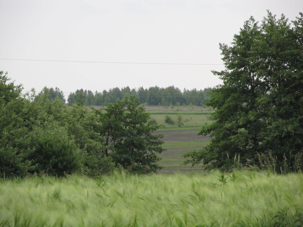 Прикордонна Улашанівка з panoramio.com - Прикордонна Улашанівка
