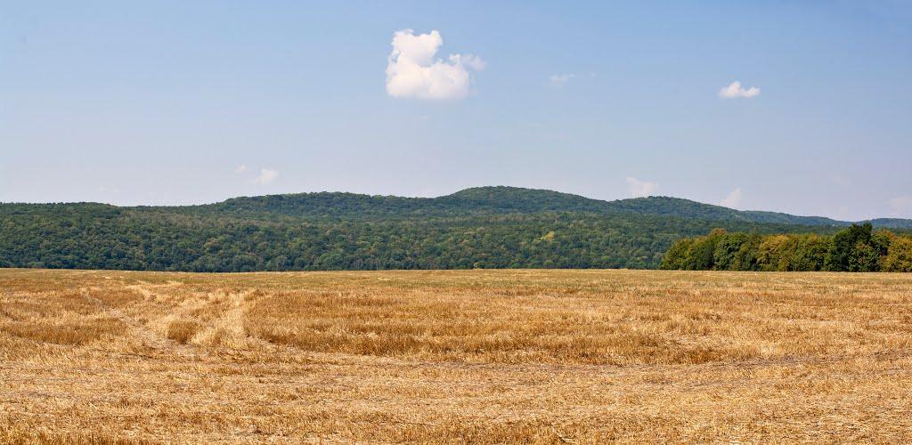 Романівка з panoramio.com - Романівка