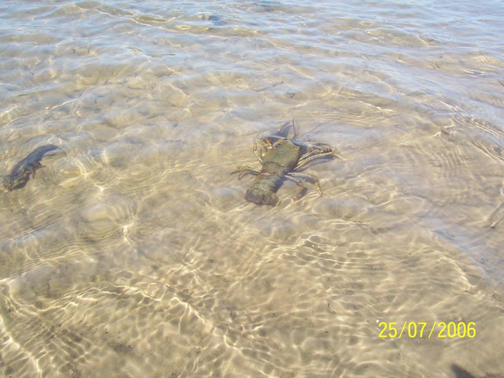 Жолдаки з panoramio.com - Жолдаки