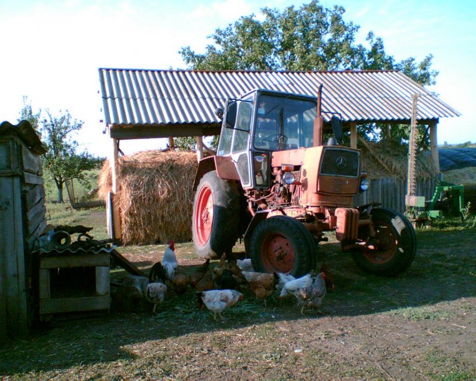 Малинівка з panoramio.com - Малинівка