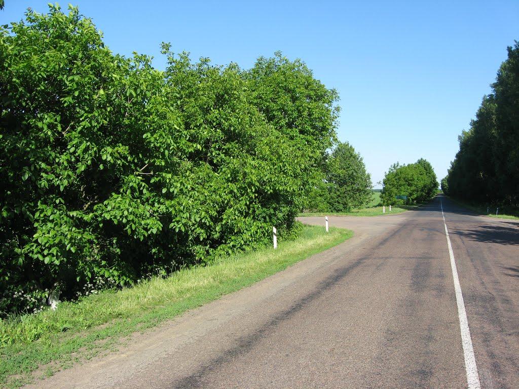 Баланівка з panoramio.com - Баланівка
