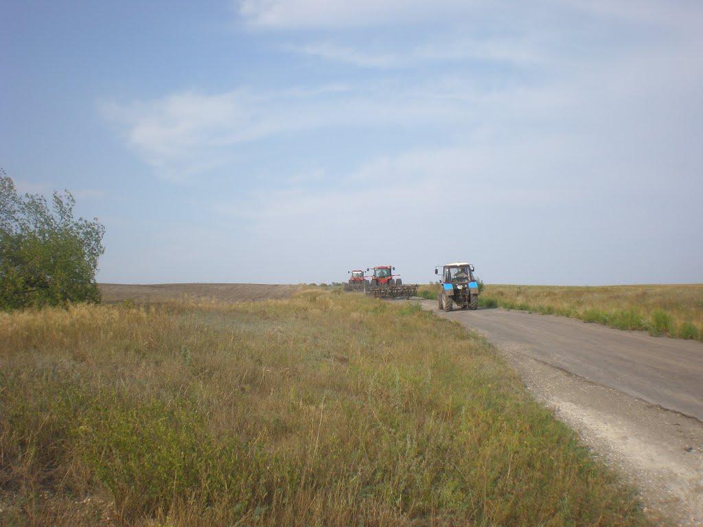 Краснодон з panoramio.com - Краснодон