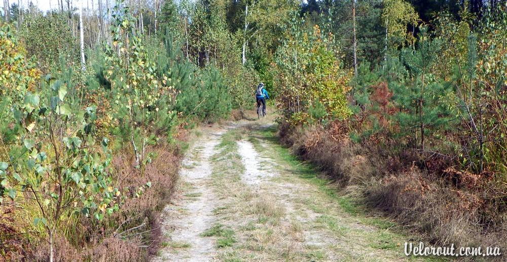 Рудня-Замисловицька з panoramio.com - Рудня-Замисловицька