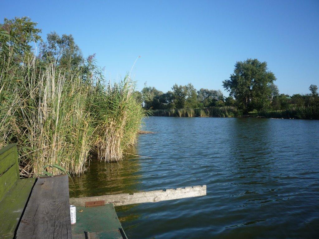 Максимівка з panoramio.com - Максимівка